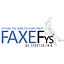 Faxe Fysioterapi og Sportsklinik logo