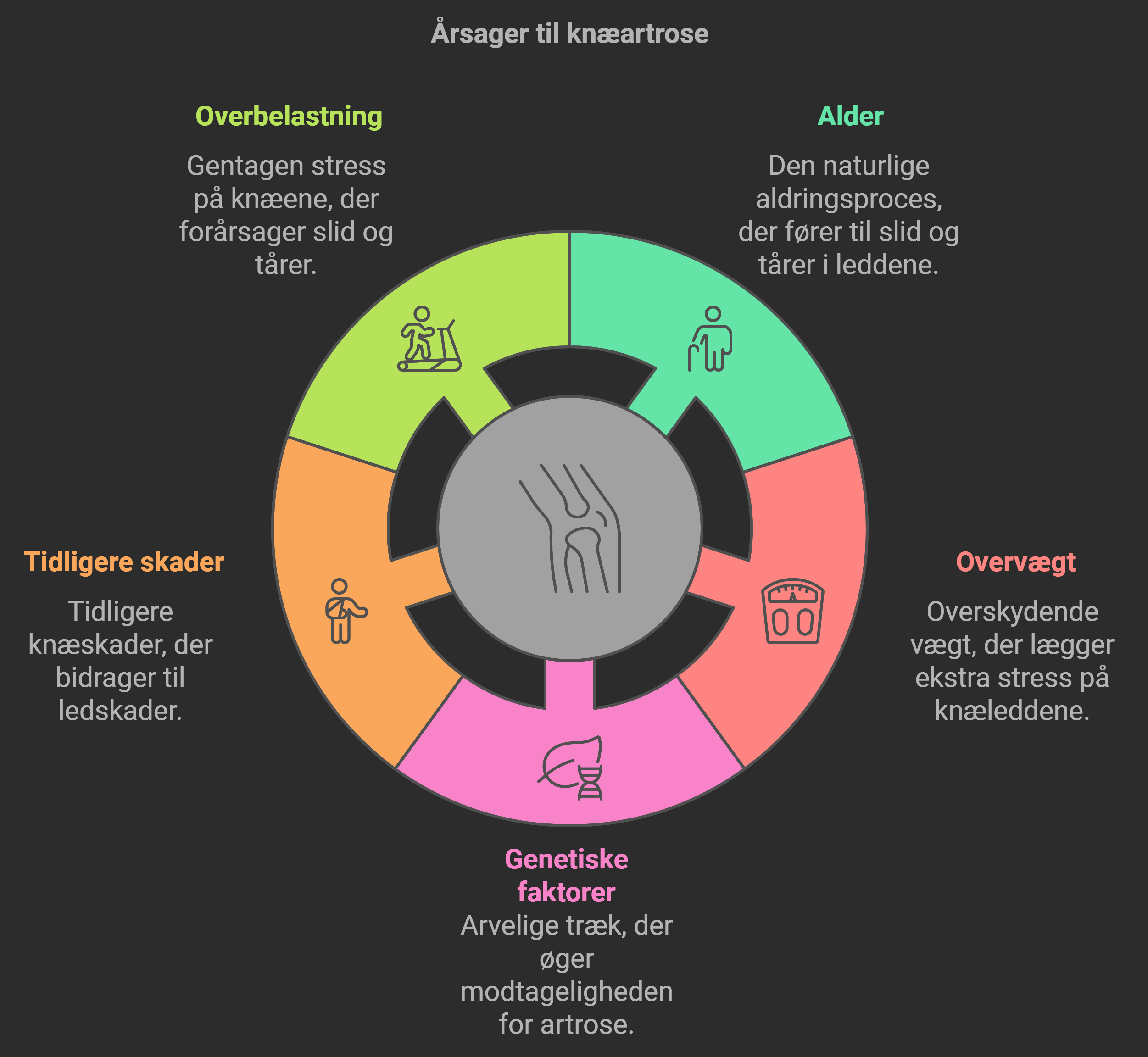 Illustration af årsager til slidgigt i knæet